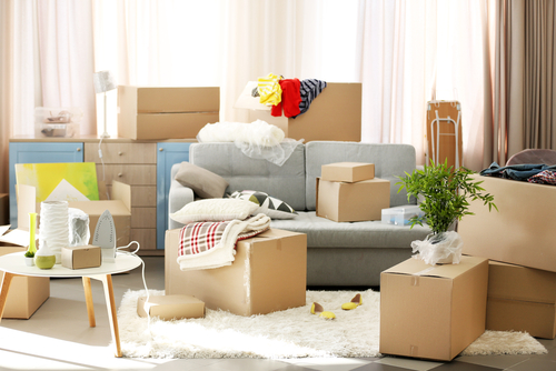 kaveri packers and movers -1