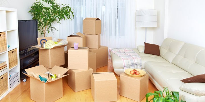 kaveri packers and movers -3